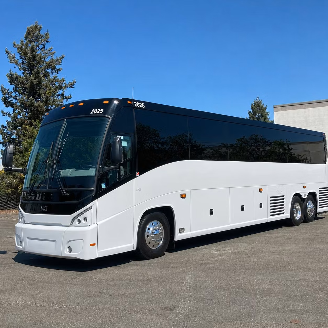 56 passenger charter bus